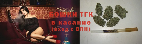 ПСИЛОЦИБИНОВЫЕ ГРИБЫ Абаза