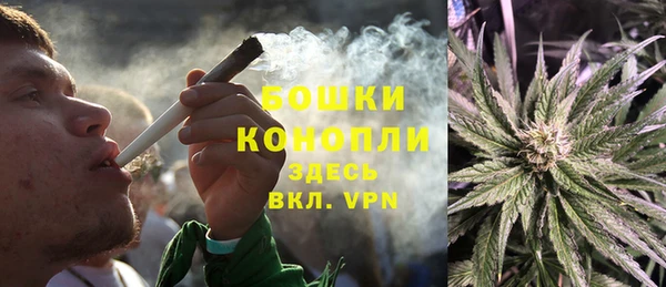 ПСИЛОЦИБИНОВЫЕ ГРИБЫ Абаза