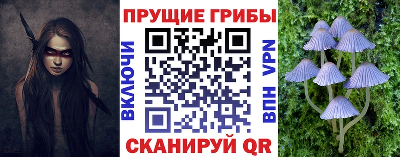 blacksprut сайт  Керчь  Псилоцибиновые грибы GOLDEN TEACHER 